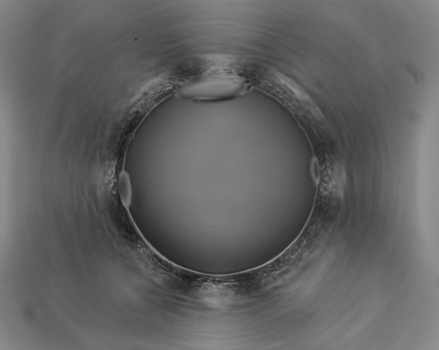 X0000112890560200909111506