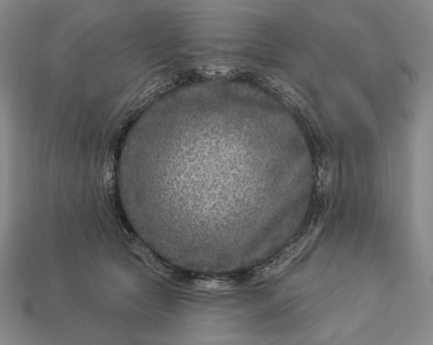 X0000112890561200909111506