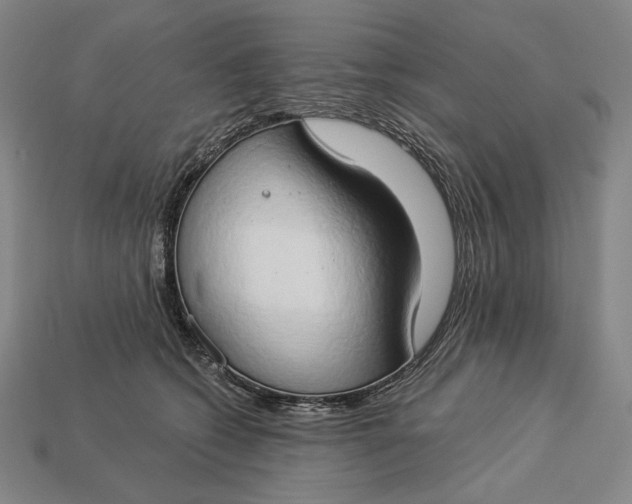 X0000112890562200909111506