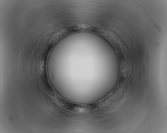 X0000112890563200909111506