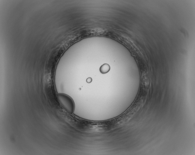 X0000112890564200909111506