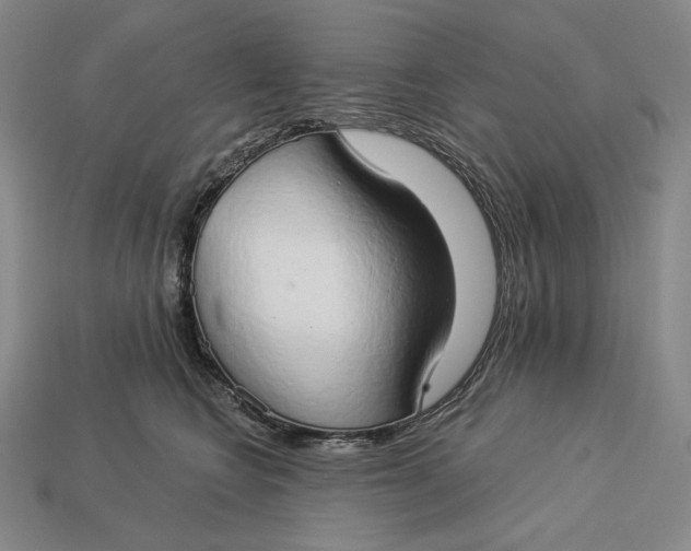X0000112890566200909111506