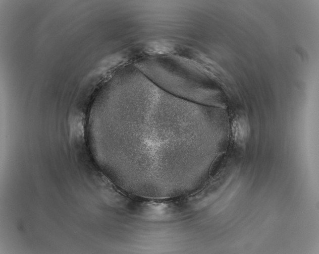 X0000112890570200909111506