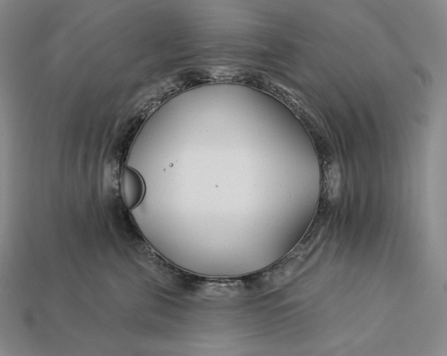 X0000112890571200909111506
