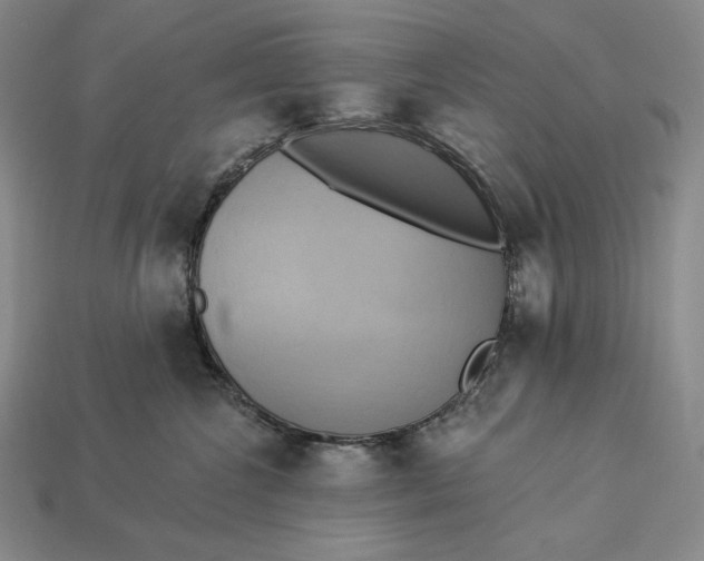 X0000112890572200909111506