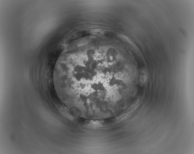 X0000112890573200909111506