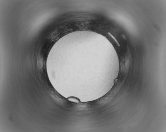 X0000112890574200909111506