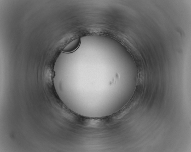 X0000112890575200909111506
