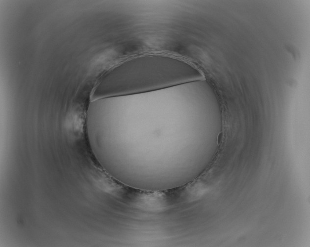 X0000112890576200909111506