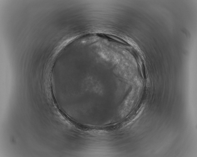 X0000112890577200909111506