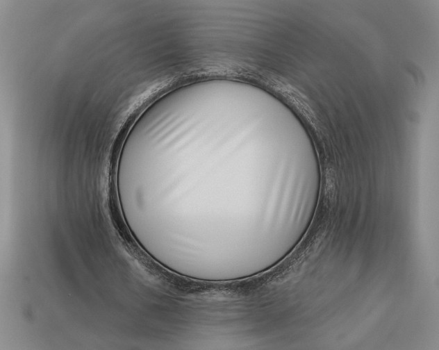 X0000112890578200909111506