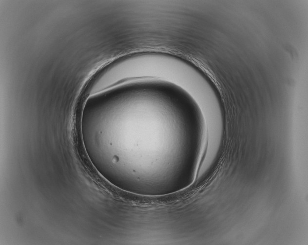 X0000112890579200909111506