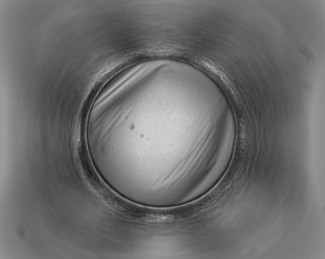 X0000112890582200909111506