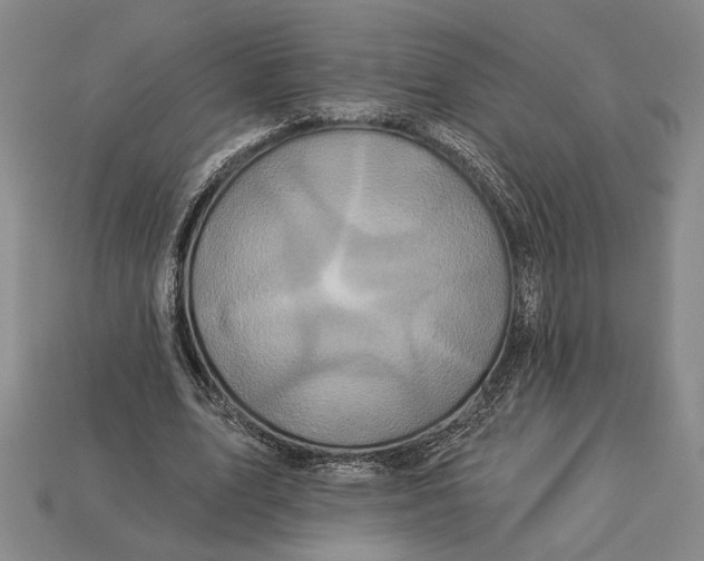 X0000112890583200909111506