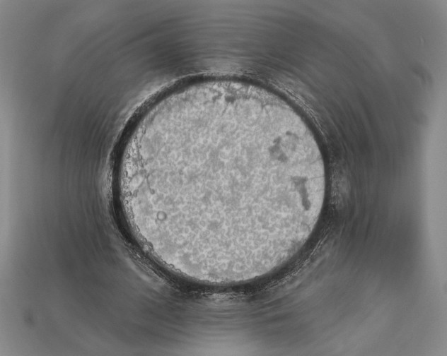 X0000112890584200909111506