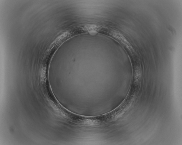 X0000112890585200909111506