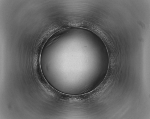X0000112890586200909111505