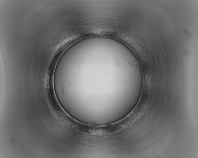 X0000112890587200909111505