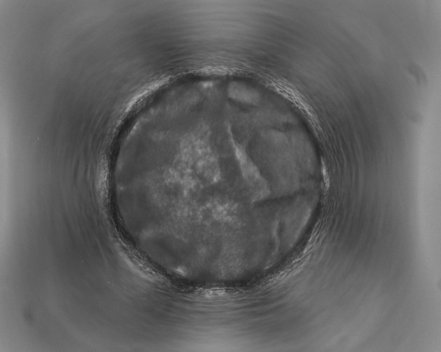 X0000112890588200909111505