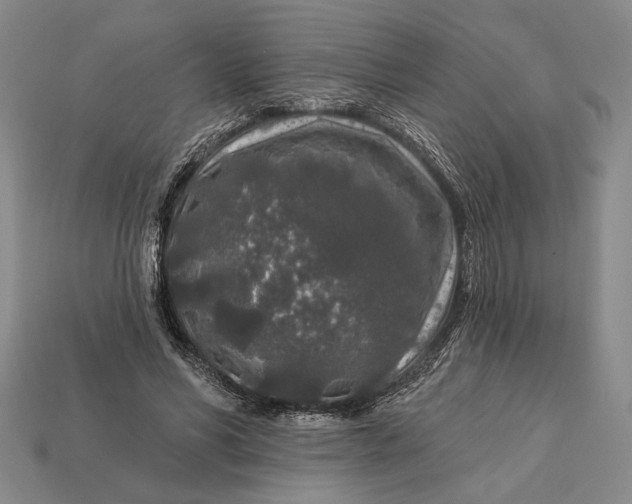 X0000112890590200909111505