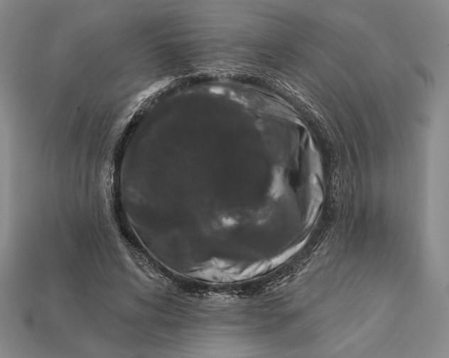 X0000112890592200909111505