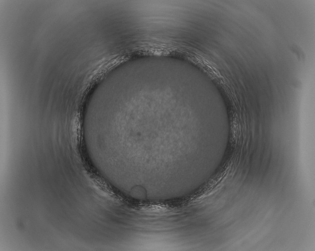 X0000112890594200909111505