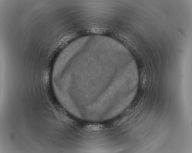 X0000112890595200909111505