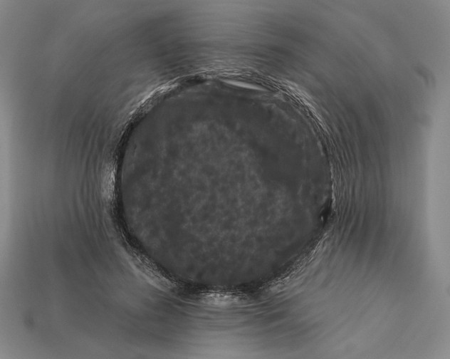 X0000112890596200909111505
