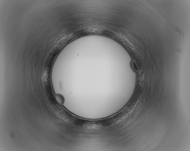 X0000112890597200909111505