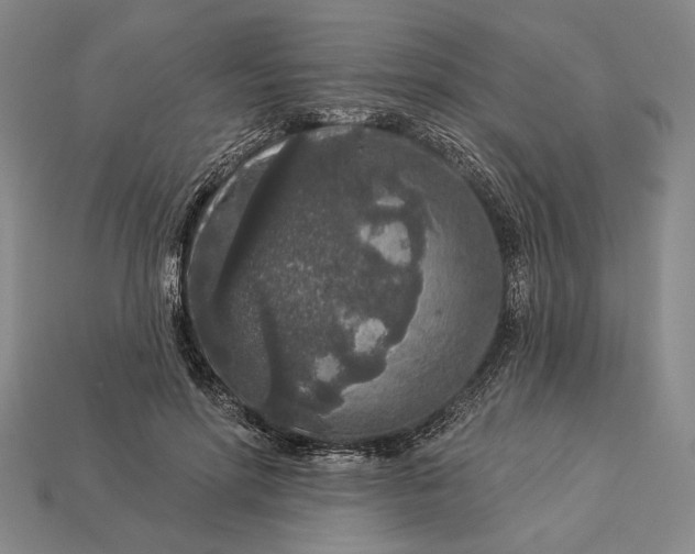 X0000112890598200909111505