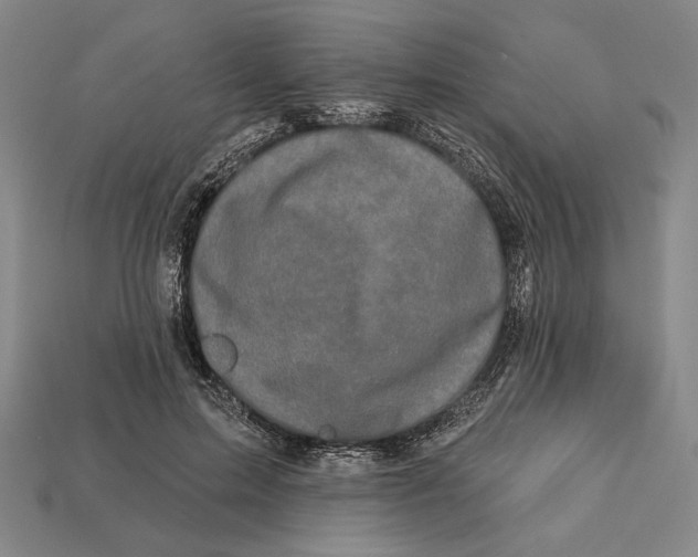 X0000112890599200909111505