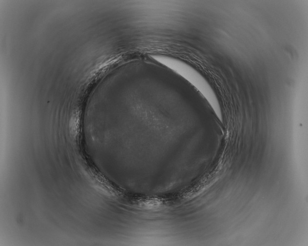 X0000112890600200909111505