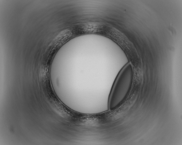 X0000112890601200909111505