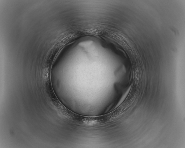 X0000112890602200909111505