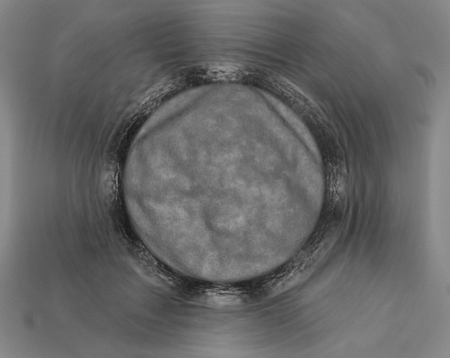 X0000112890603200909111505