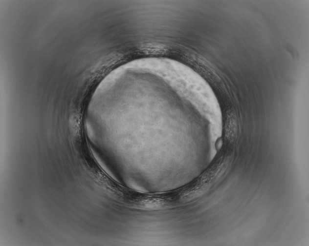 X0000112890604200909111505