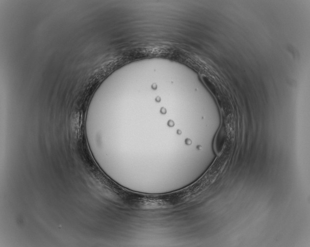 X0000112890605200909111505
