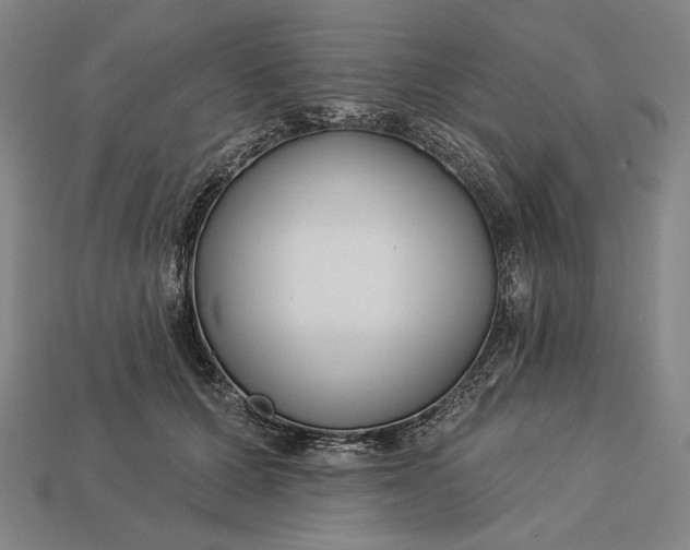 X0000112890607200909111505