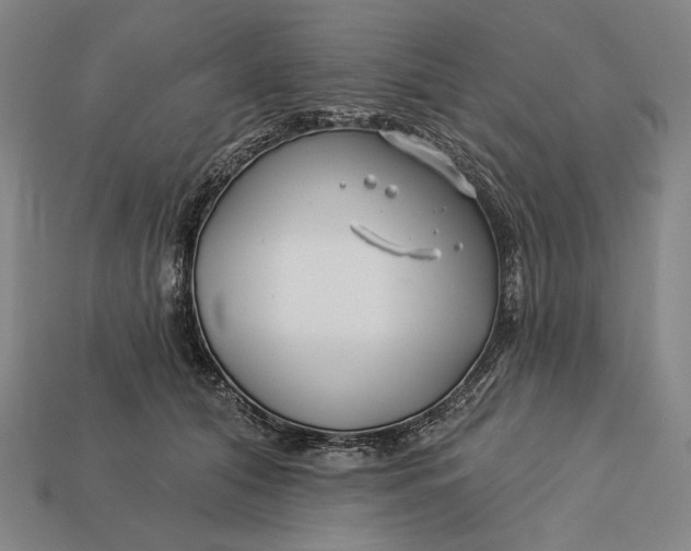 X0000112890608200909111505