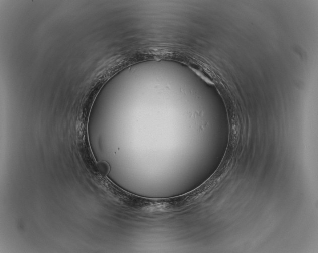 X0000112890609200909111505