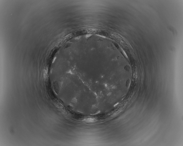 X0000112890610200909111505