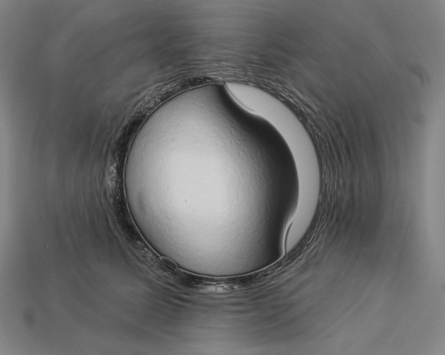 X0000112890611200909111505