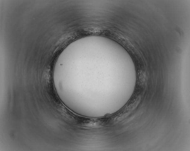 X0000112890612200909111505