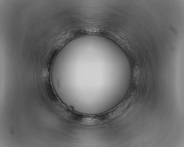 X0000112890614200909111505