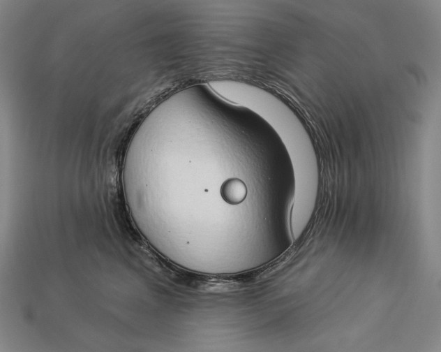 X0000112890617200909111505