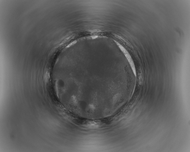 X0000112890618200909111505
