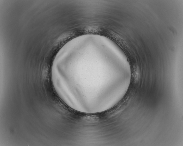 X0000112890619200909111505