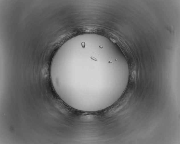 X0000112890620200909111505