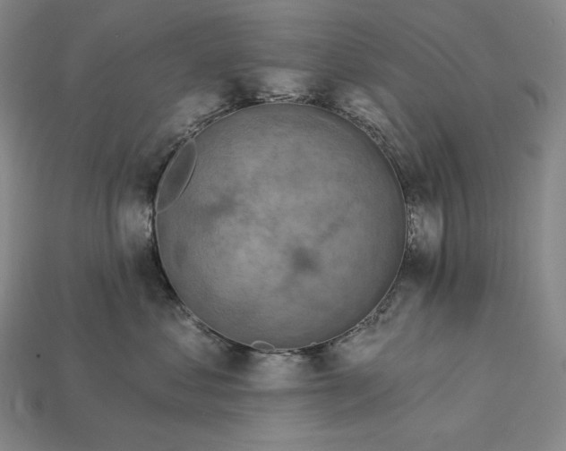 X0000112890621200909111505