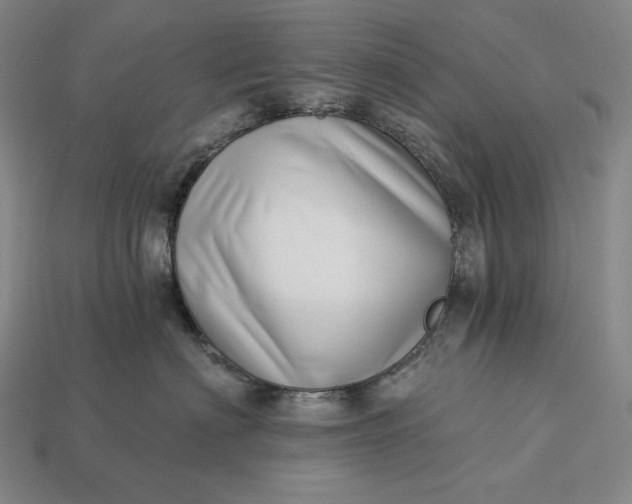 X0000112890622200909111505